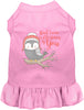 Owl I Want For Christmas Pet Dress