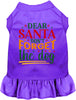 Don't Forget the Dog! Christmas Pet Dress