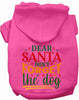Don't Forget the Dog! Christmas Pet Hoodie