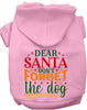 Don't Forget the Dog! Christmas Pet Hoodie