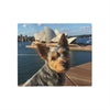 Australian Silky Terrier Blanket