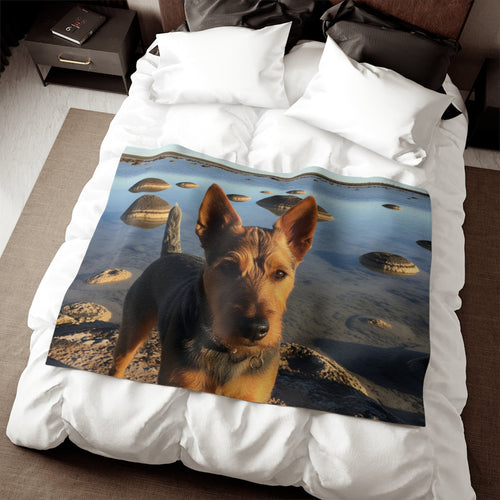 Australian Terrier Blanket