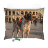 Pet Bed
