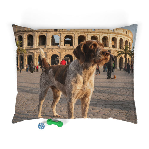 Pet Bed