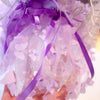 Butterfly Fairy Dog Dress with Wings – Luxury Tulle Pet Princess Outfit