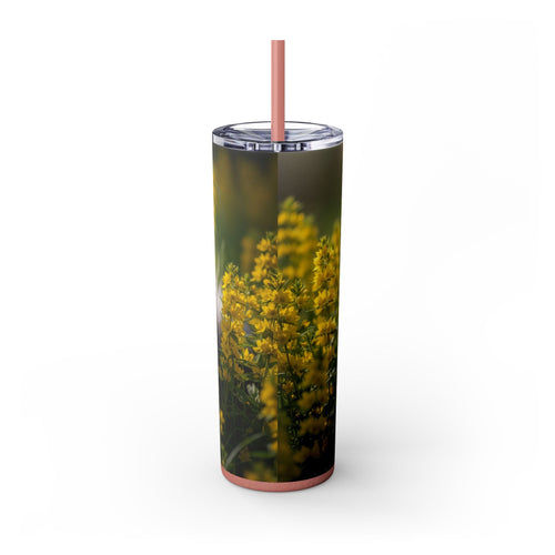 Skinny Tumbler with Straw – 20 oz Stainless Steel Cup