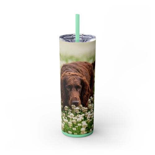 Skinny Tumbler with Straw – 20 oz Stainless Steel Cup