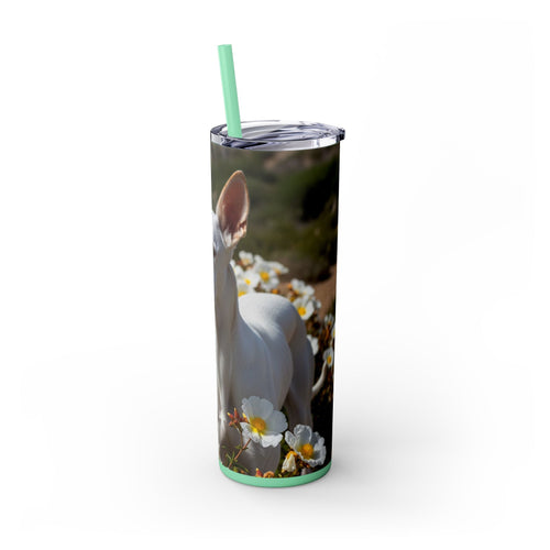 Skinny Tumbler with Straw – 20 oz Stainless Steel Cup
