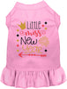 Little Miss New Year Pet Dress