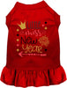 Little Miss New Year Pet Dress