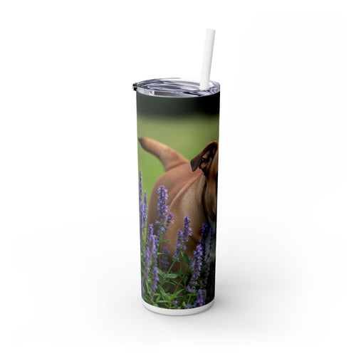Skinny Tumbler with Straw – 20 oz Stainless Steel Cup