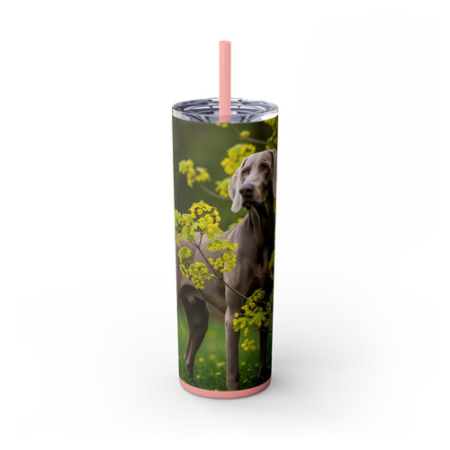 Skinny Tumbler with Straw – 20 oz Stainless Steel Cup