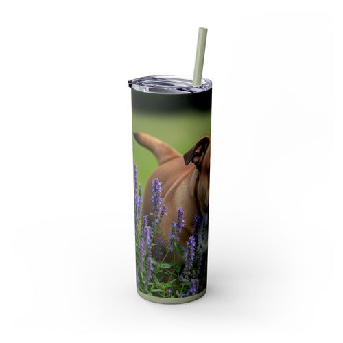 Skinny Tumbler with Straw – 20 oz Stainless Steel Cup