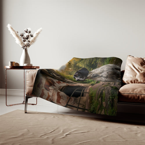 Braque d'Auvergne Blanket