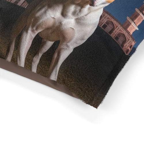 Gull Dong Pet Bed
