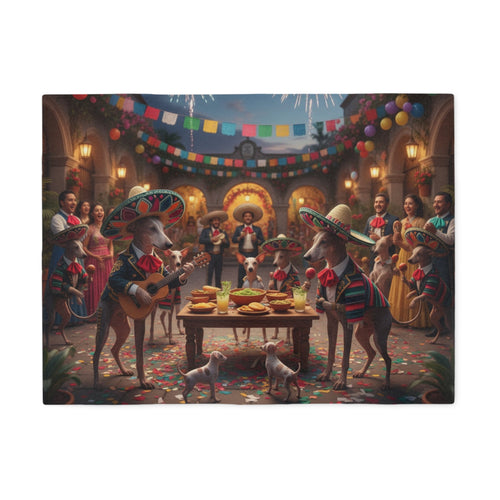 Cinco de Mayo Fiesta Blanket