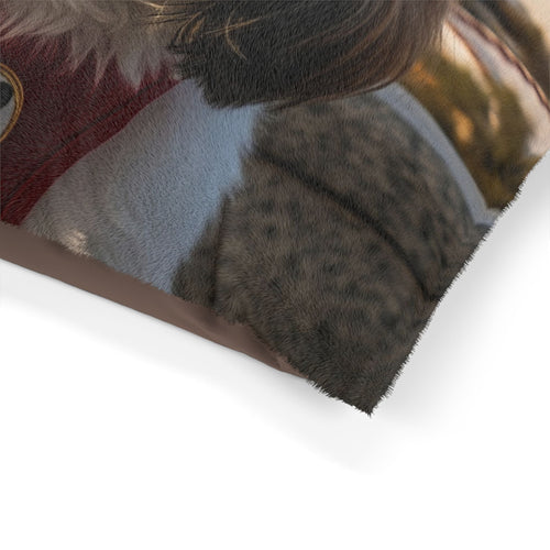 Shih Tzu Pet Bed