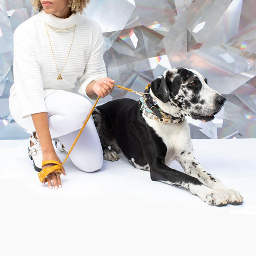 Ruby Red Cork Leather Leash