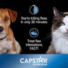 Capstar Fast-Acting Oral Treatment for Dogs & Cats 2-25 lb 6 Doses Fast Acting