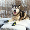 TrueLove Dog Shoes TLS3961
