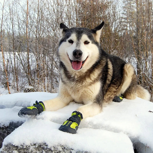 TrueLove Dog Shoes TLS3961