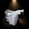 White Tulle Pet Veil Hair Clip wedding accessories