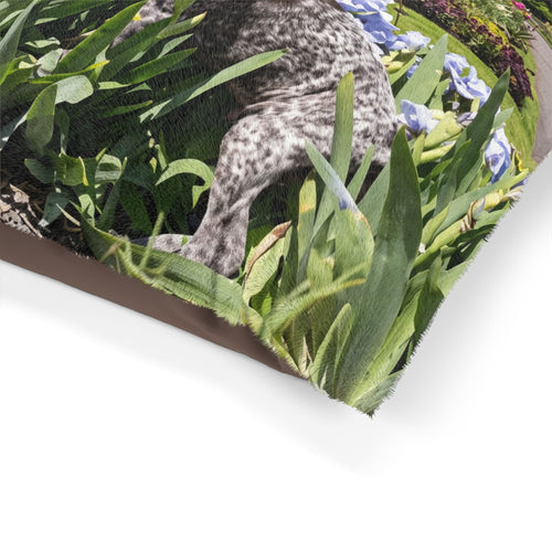 Pointer Dog Pet Bed