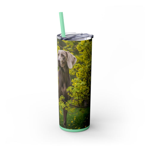 Skinny Tumbler with Straw – 20 oz Stainless Steel Cup