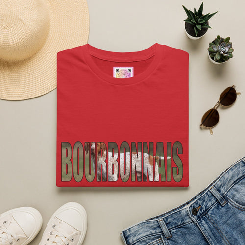 Braque du Bourbonnais Tee Shirt