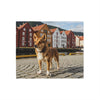 Norwegian Lundehund Blanket