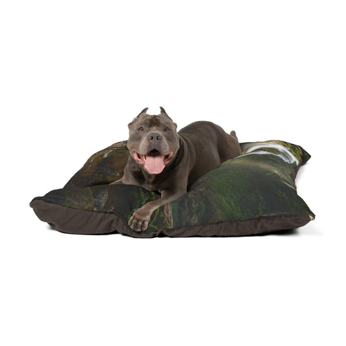 Thai Ridgeback Pet Bed
