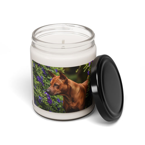 Soy Candle – Scented Jar Candle