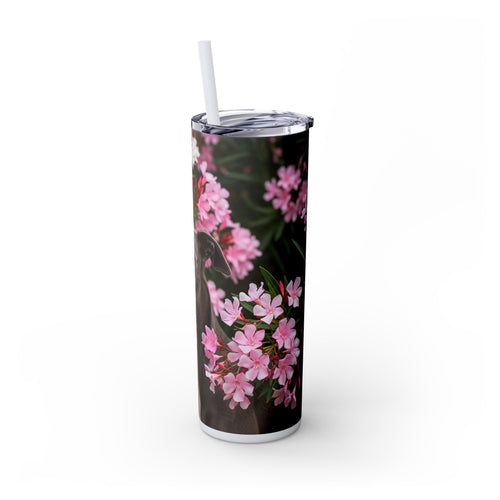 Skinny Tumbler with Straw – 20 oz Stainless Steel Cup
