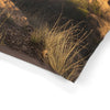 English Shepherd Dog Pet Bed