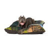 Australian Cattle Dog Pet Bed
