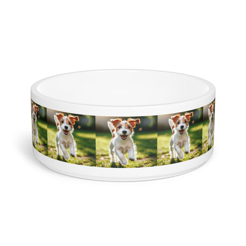 Ceramic Pet Bowl – 16 oz Dog Feeding Bowl