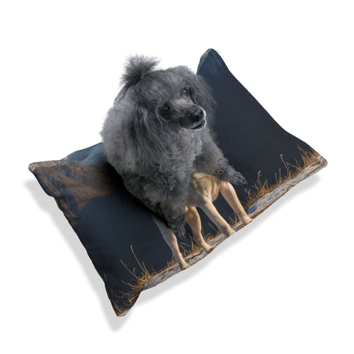 Gull Terrier Pet Bed