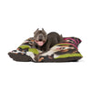 Pet Bed – Plush Dog Bed, 3 Size Options