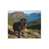 Newfoundland Blanket