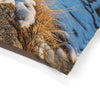 Shih Tzu Pet Bed