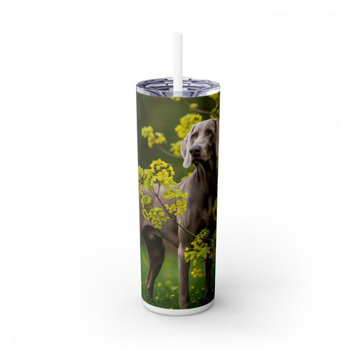 Skinny Tumbler with Straw – 20 oz Stainless Steel Cup