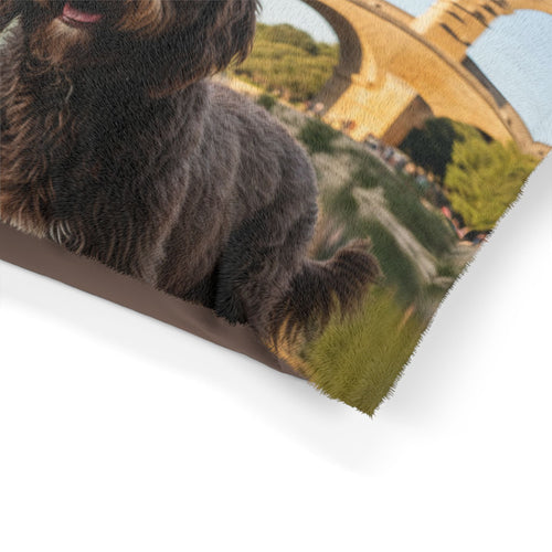 Barbet Pet Bed