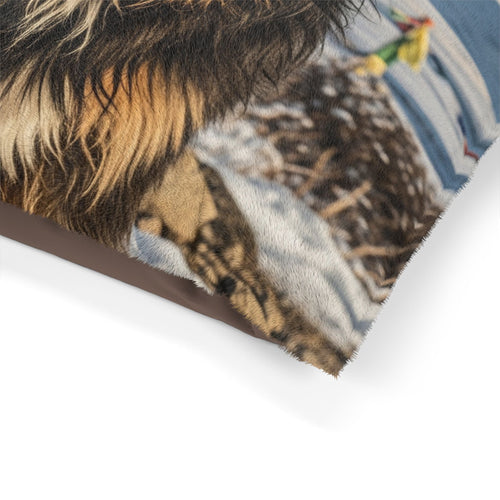 Tibetan Kyi Apso Pet Bed