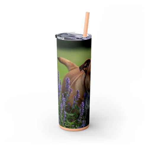 Skinny Tumbler with Straw – 20 oz Stainless Steel Cup