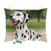 Pet Bed – Plush Dog Bed, 3 Size Options