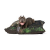 Korean Jindo Dog Pet Bed