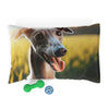 Pet Bed – Plush Dog Bed, 3 Size Options