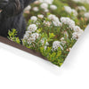 Pet Bed – Plush Dog Bed, 3 Size Options