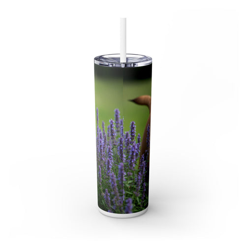 Skinny Tumbler with Straw – 20 oz Stainless Steel Cup