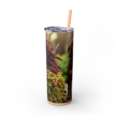 Skinny Tumbler with Straw – 20 oz Stainless Steel Cup